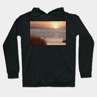 BEACH GLORY Hoodie